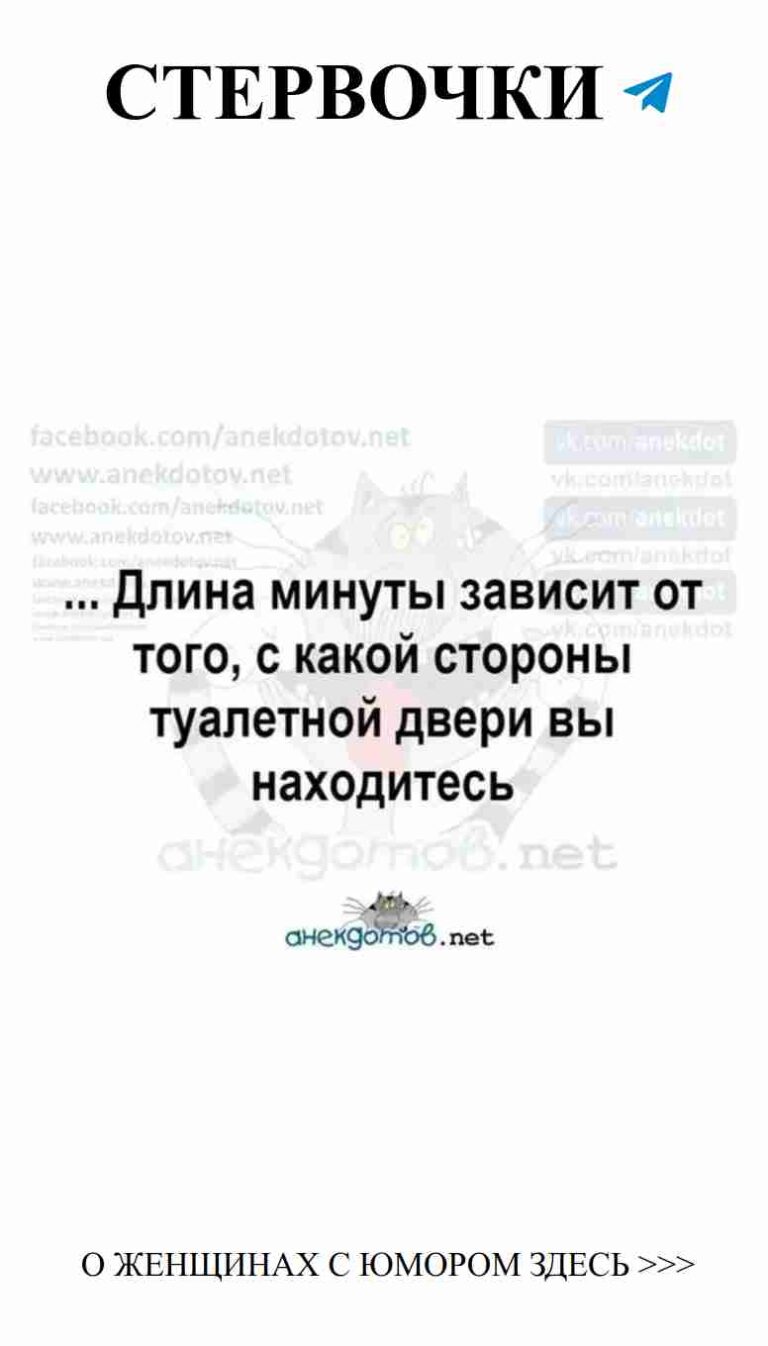 Когда любовь и коты встречаются: забавные моменты