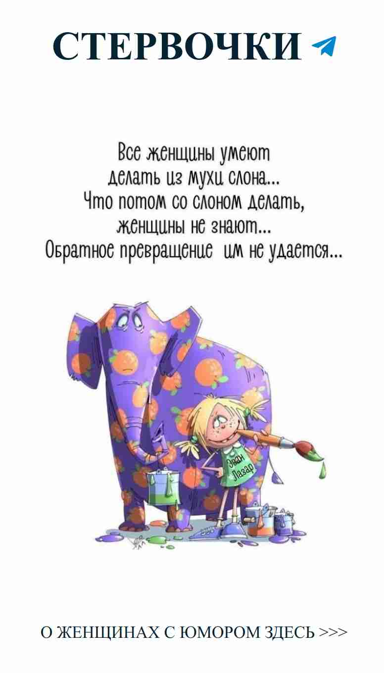 Когда любовь рисует забавные истории на слоне