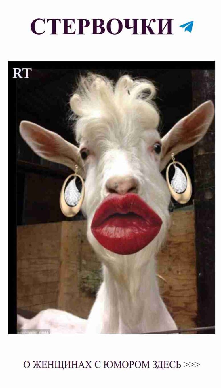 Коза с яркими губами: смешные моменты о любви и стиле