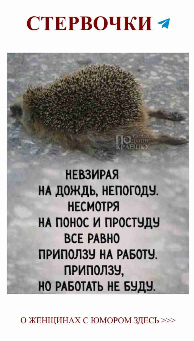 Колючий юмор: смех о любви и жизни с иголочками