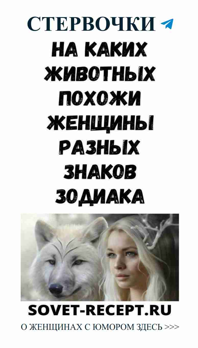 Смешные истории о любви: когда ты и волк в одной команде