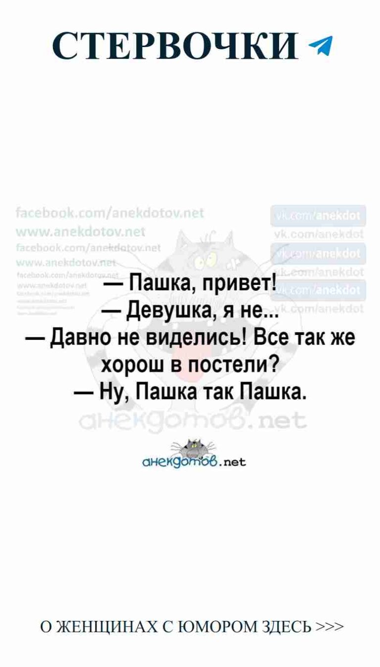 Смешные коты о любви: юмор для девушек