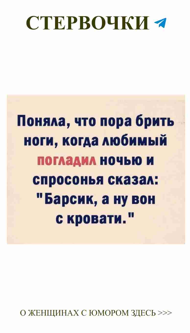 Юмор о любви: Когда животные говорят “Я тебя люблю”