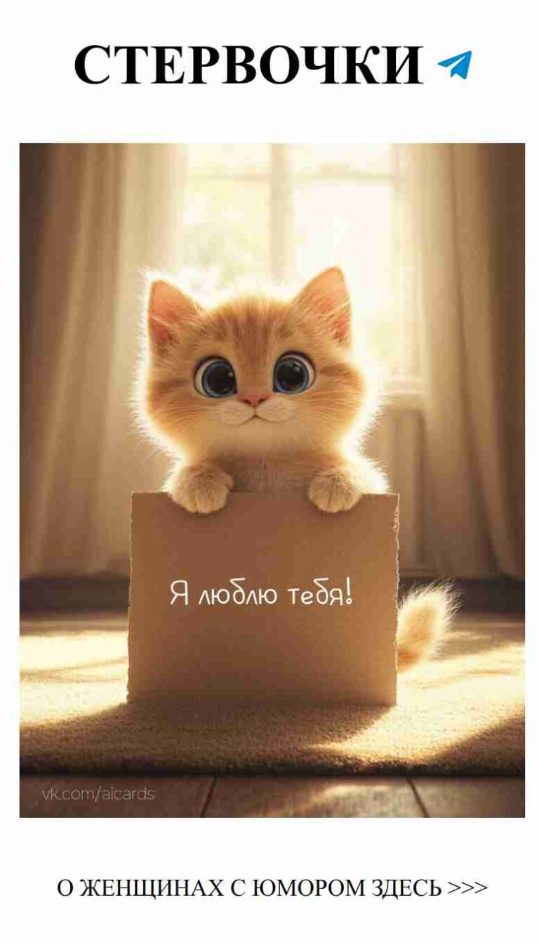 Любовь в шутках: смейся вместе с нами о женских сердцах
