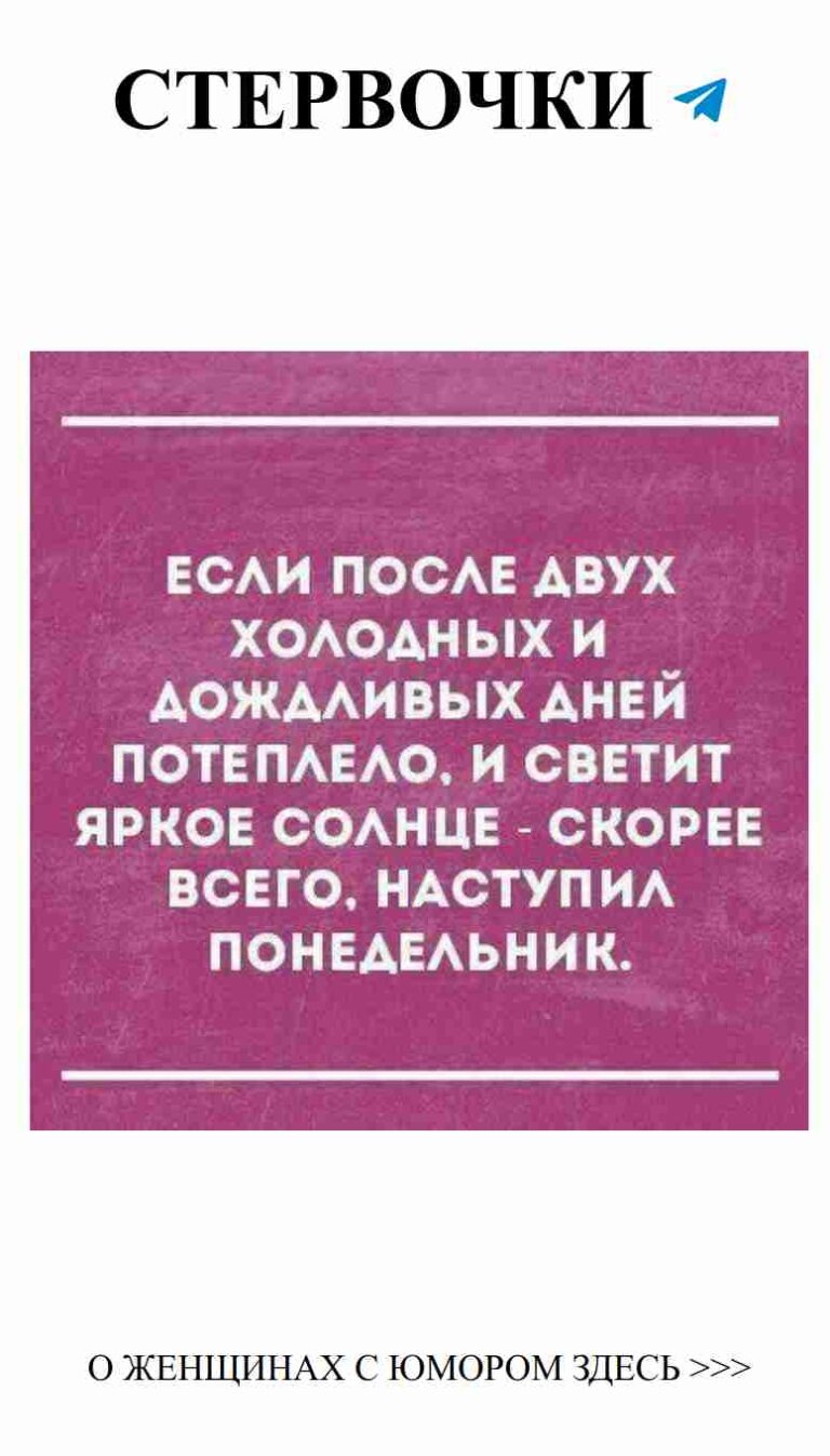 Смешные цитаты о любви: русские шутки для дам