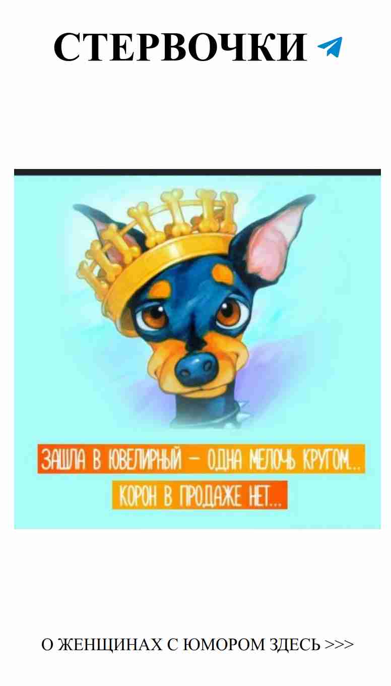 Собака с короной: королева женского юмора о любви
