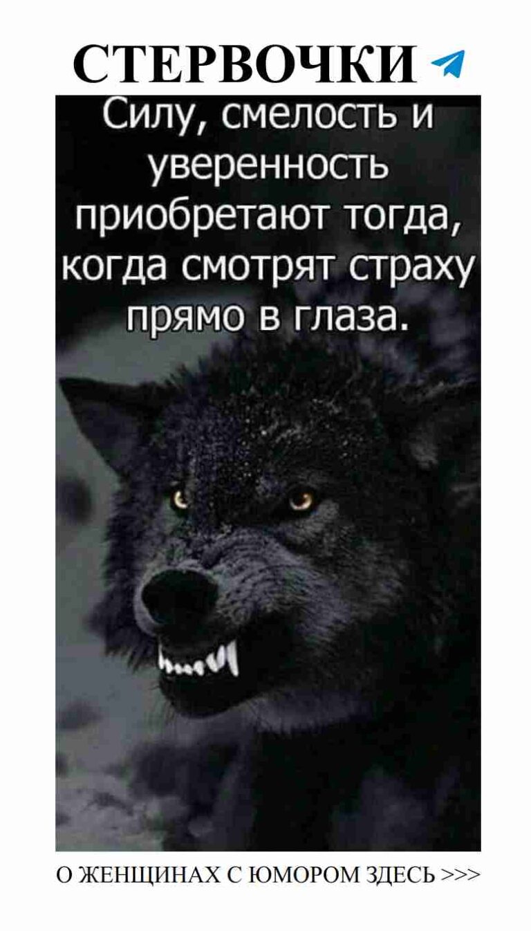 Смешные мысли о любви и жизни с волком в главной роли