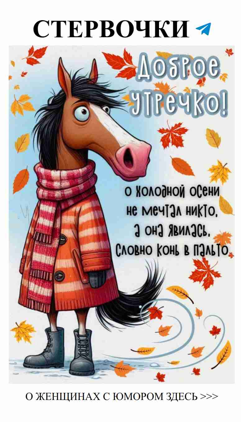 Любовь и юмор: как заставить сердце смеяться каждый день