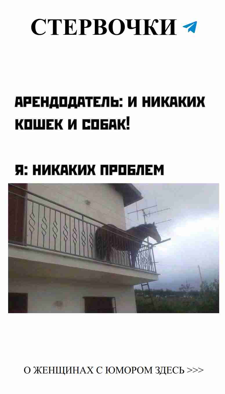 Лошадь на балконе: удивительный взгляд на любовь и юмор