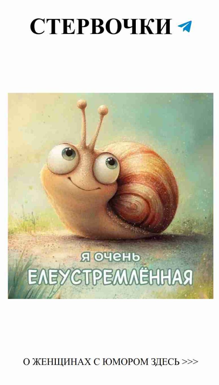 Смешные моменты с улиткой: любовь и иголки