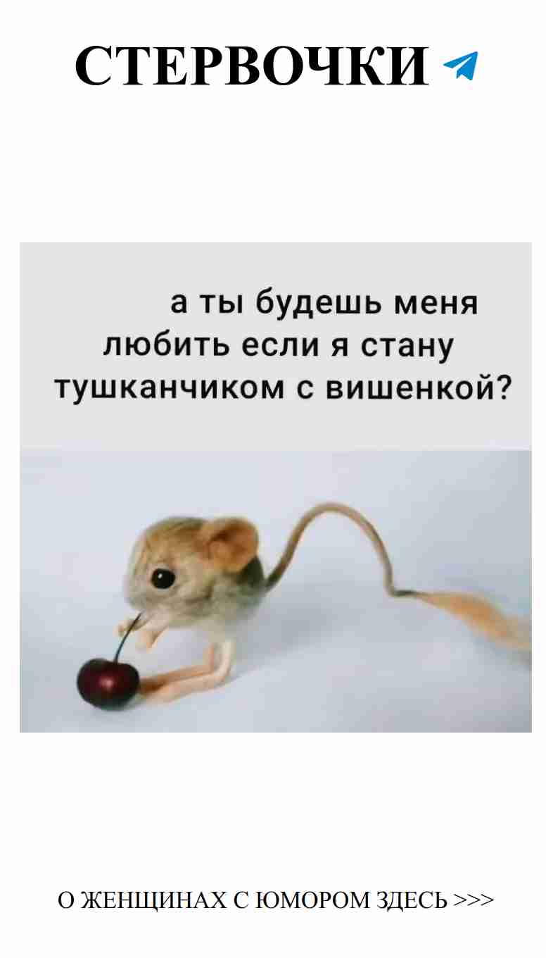 Смех о любви: когда романтика встречает юмор