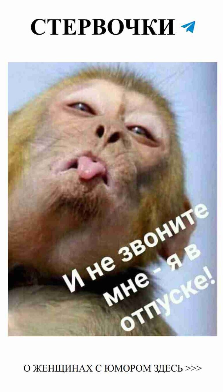 Смех и любовь: когда татуировки рассказывают смешные истории