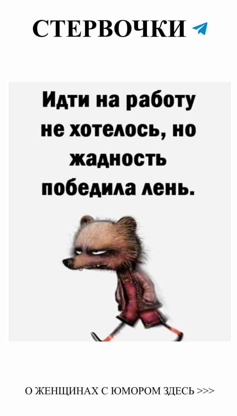 Любовь и юмор: как еноты могут сделать ваш день ярче