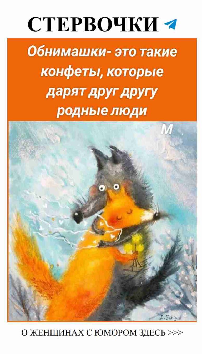 Любовь и лиса: смешные истории из жизни