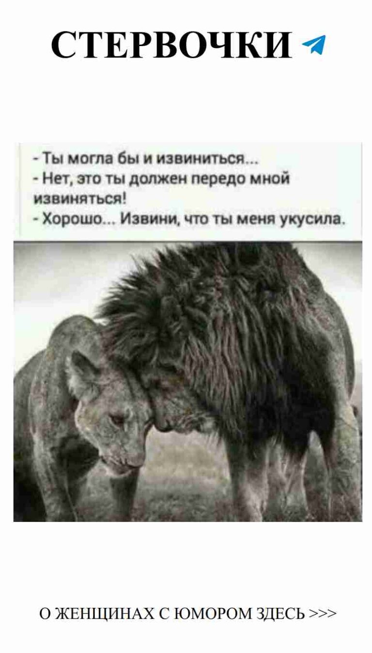 Любовь животных: смешные моменты веселья и юмора