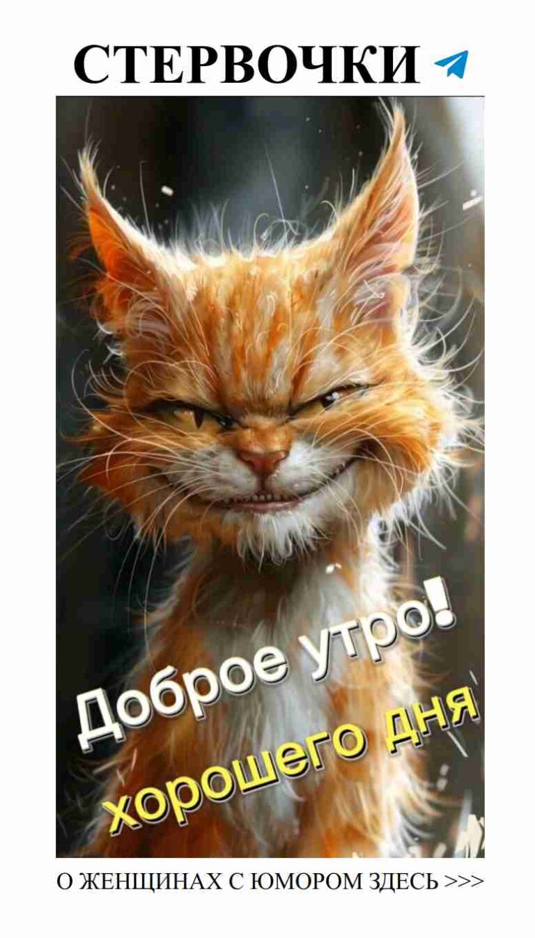 Смех и любовь: когда идеалы встречают реальность