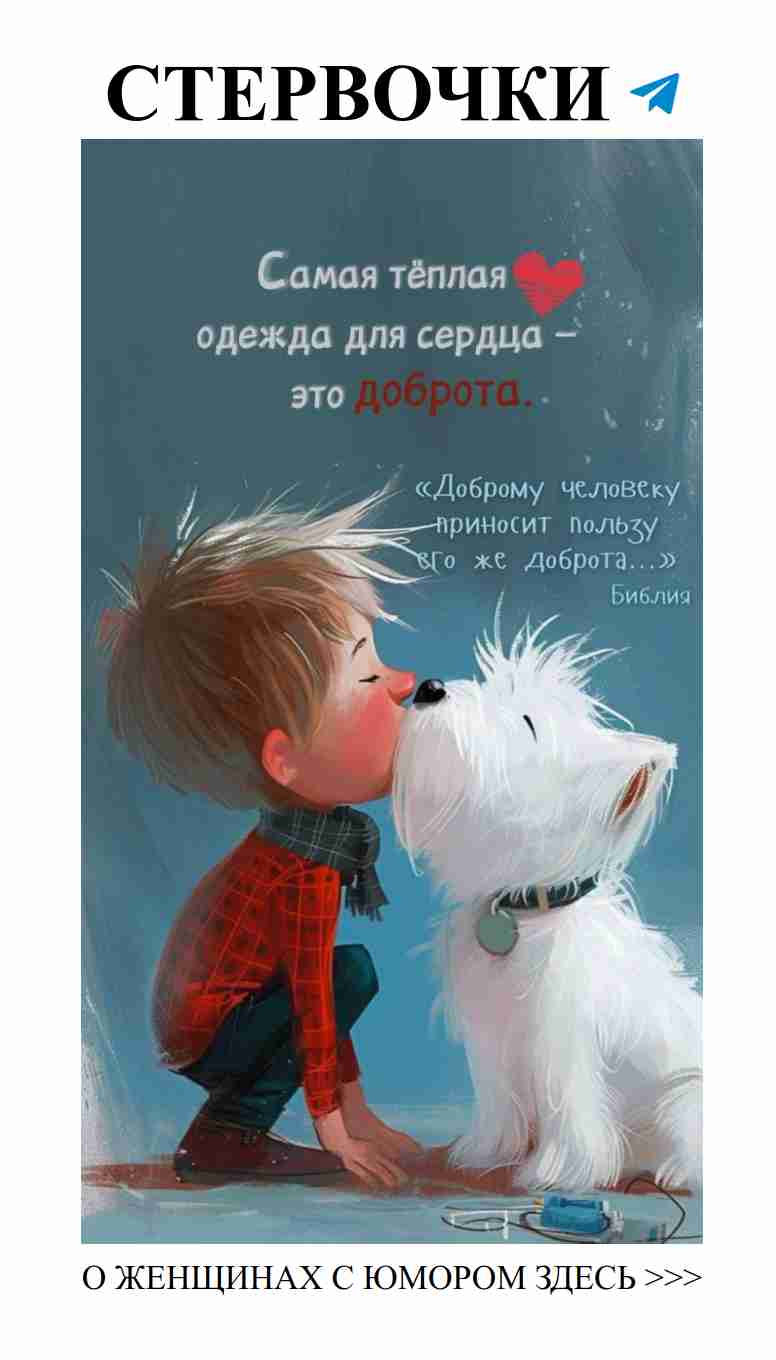 Любовь и забавные моменты с нашими пушистиками