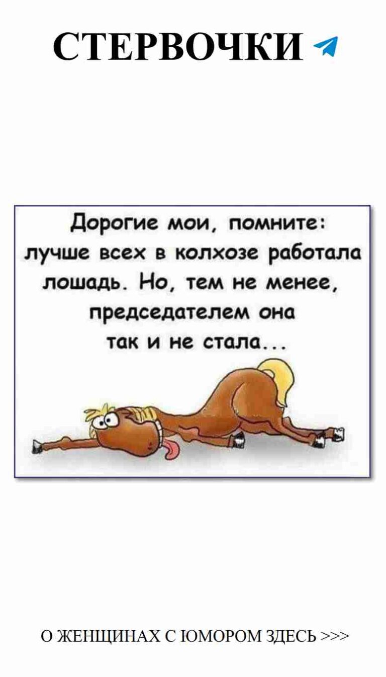 Когда твой питомец знает, как поднять настроение