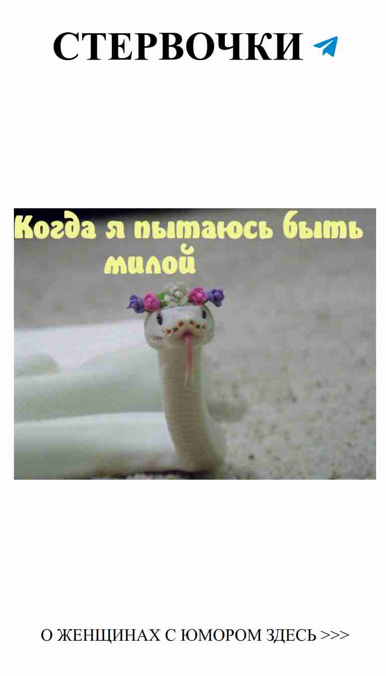 Змейка с цветами: любовь и смех, которые нас объединяют