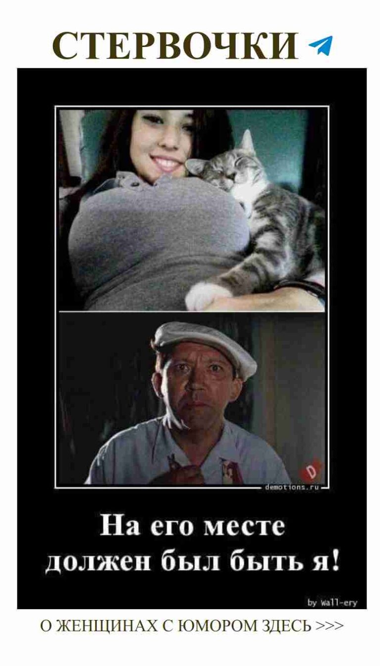 Любовь и юмор: кот, который соединяет сердца