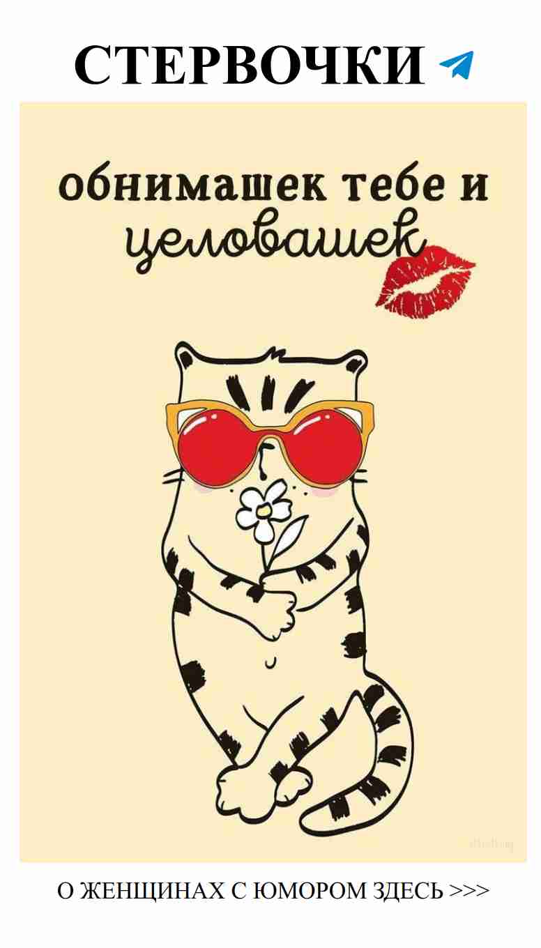 Кот в очках и помаде: Милая ирония о любви