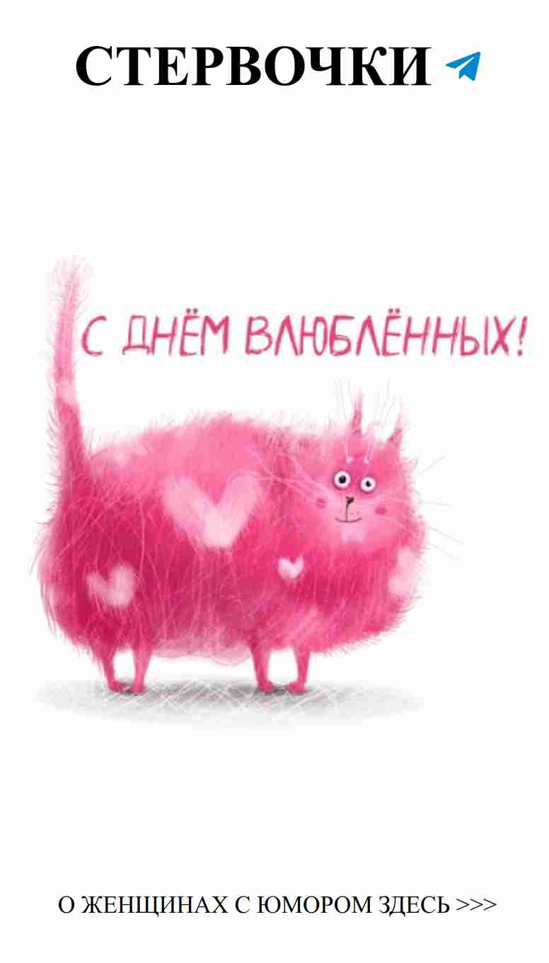 Смешные коты на День Святого Валентина