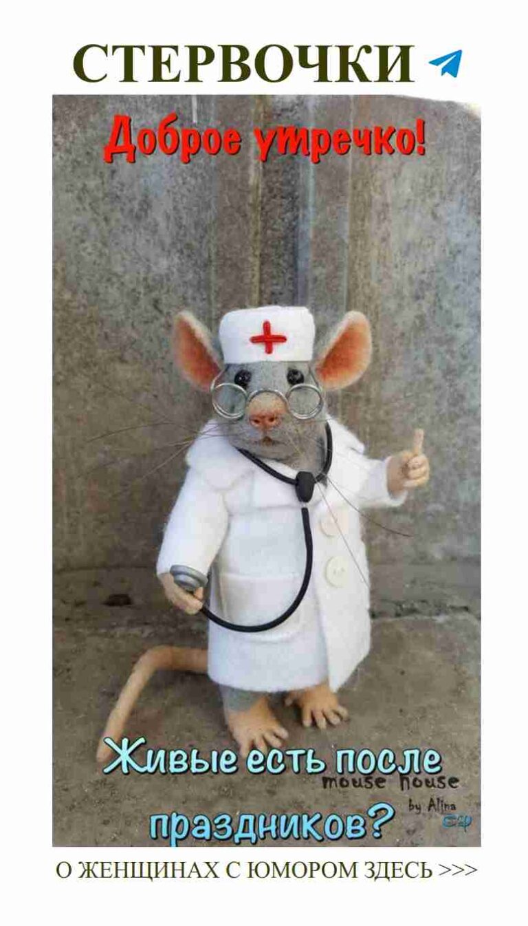 Когда доктор назначает любовь, даже мыши в шоке