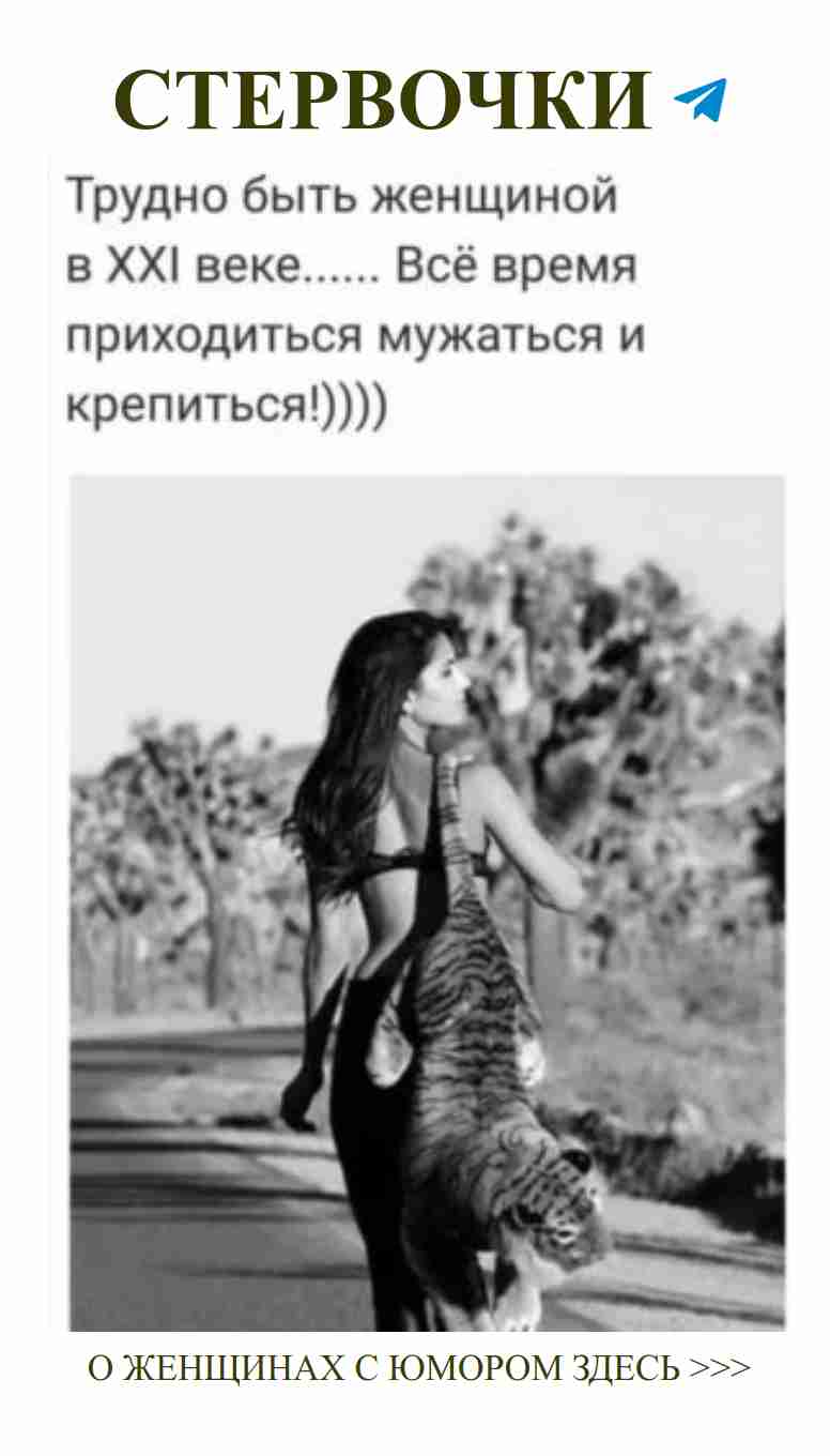 Кошка на плечах: Смешные ситуации любви