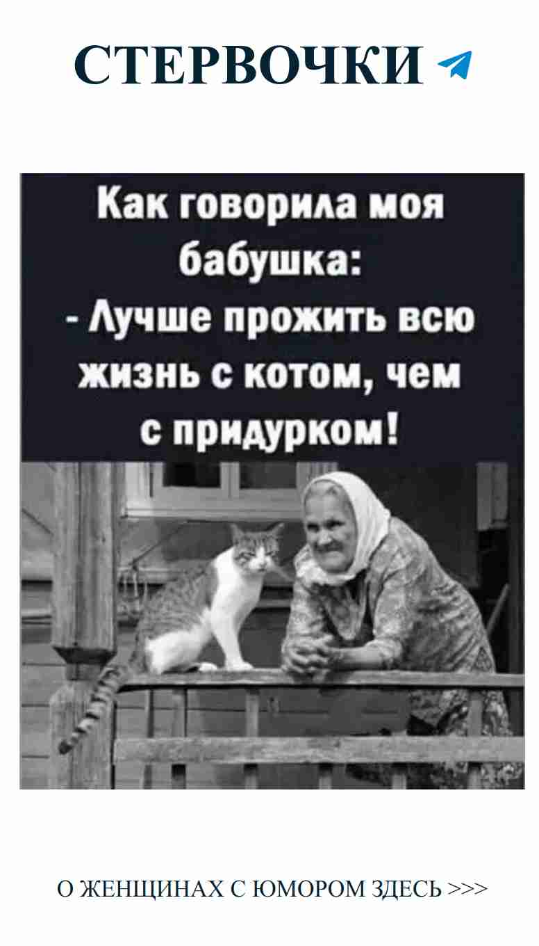 Смешные шутки о любви к животным и бабушкам
