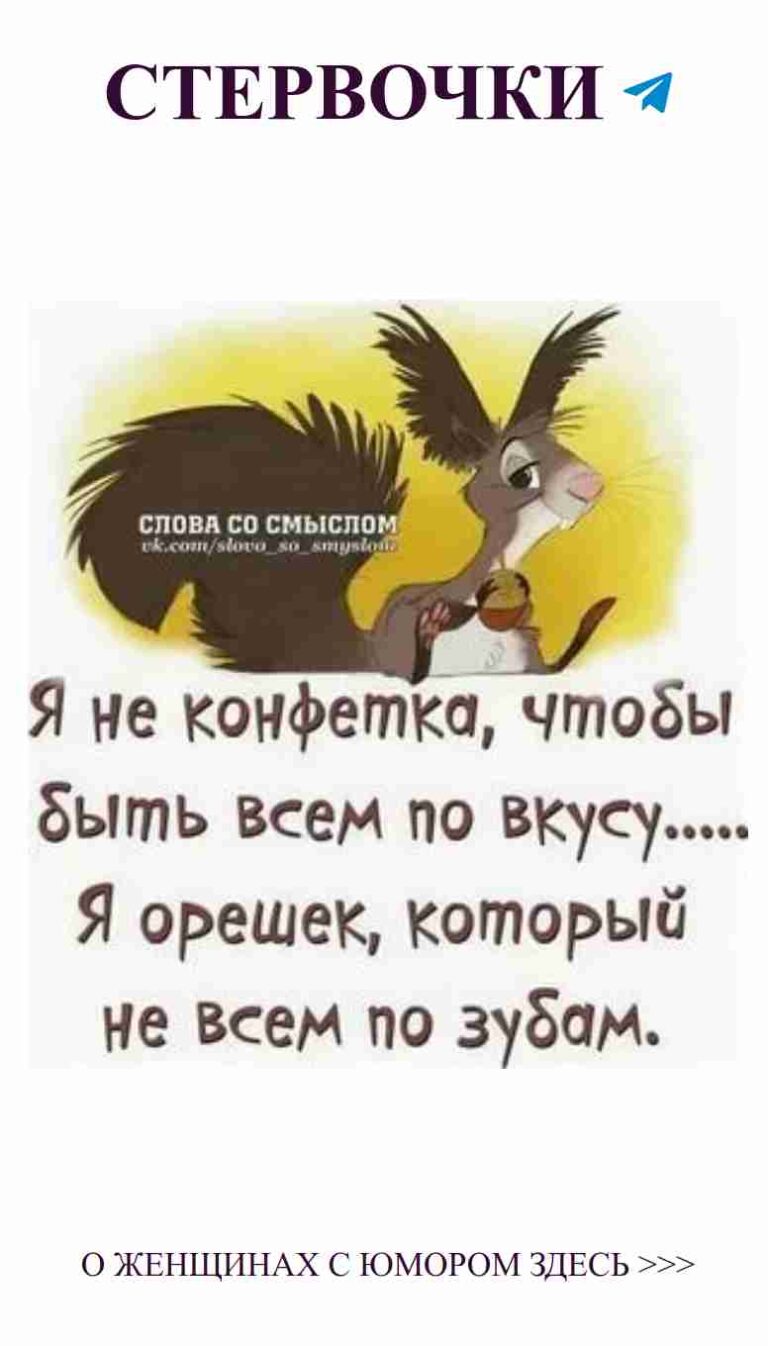 Смешные цитаты о любви и жизни с забавной белкой