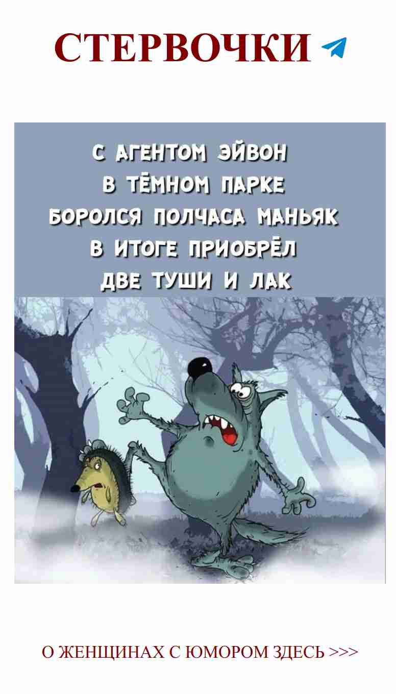 Летать в любви: как ёжики шутят о чувствах