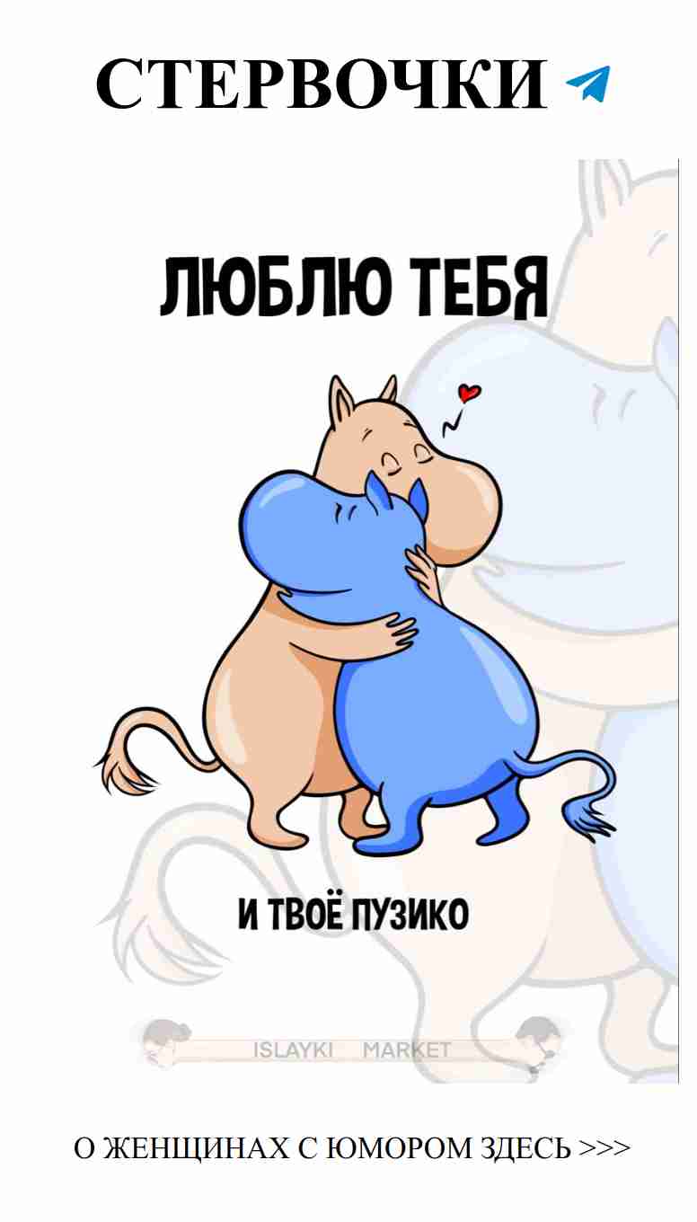 Котики, которые любят – смешные моменты для настроения