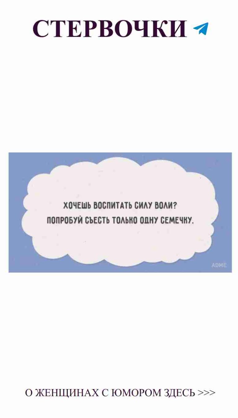 Когда любовь смешна: мысли о жизни и еде