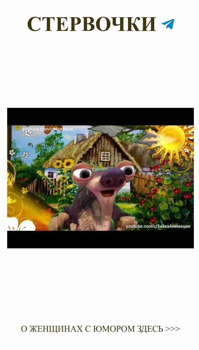 Смешные моменты о любви с милыми зверюшками