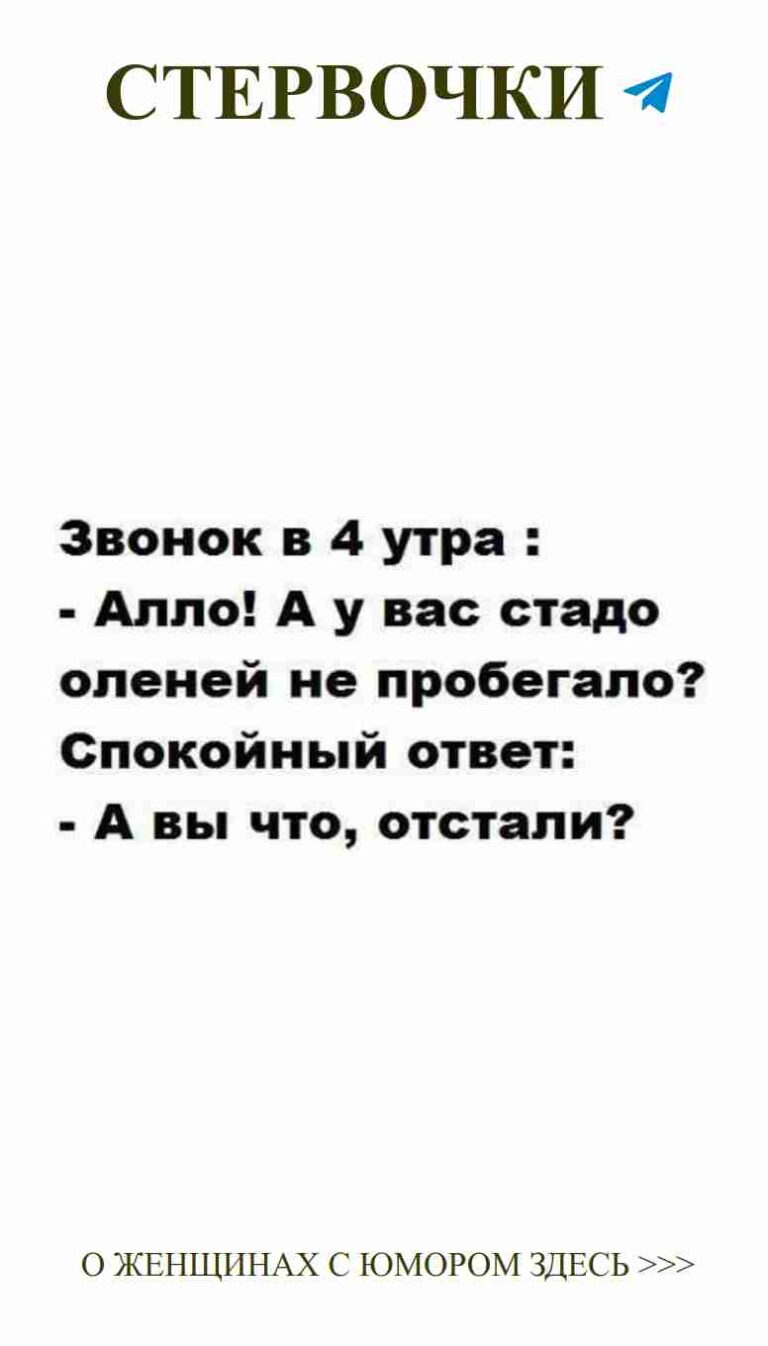 Смешные цитаты о любви и материнстве для девушек