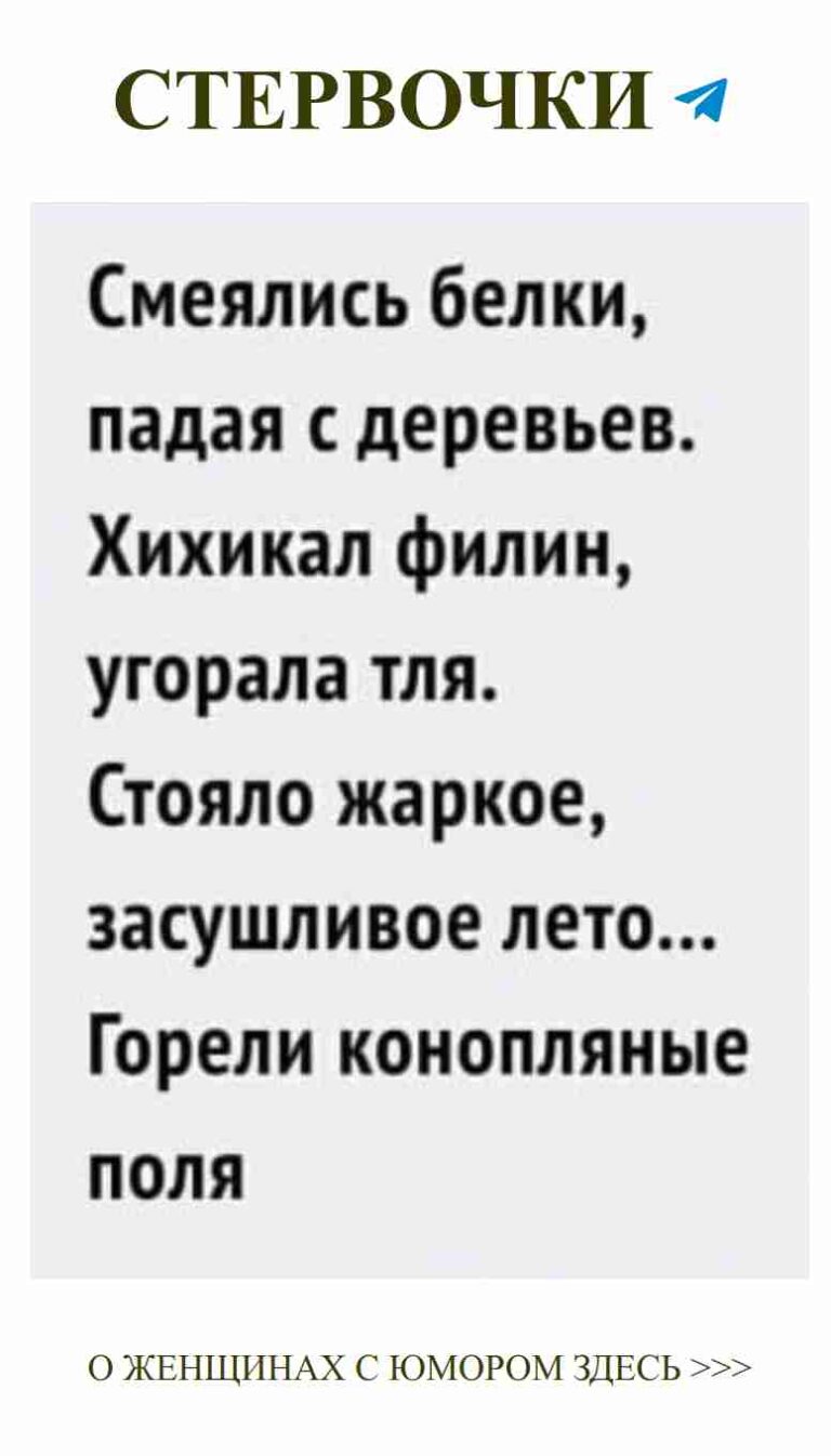 Любовь и юмор: смешные слова, которые поднимут настроение