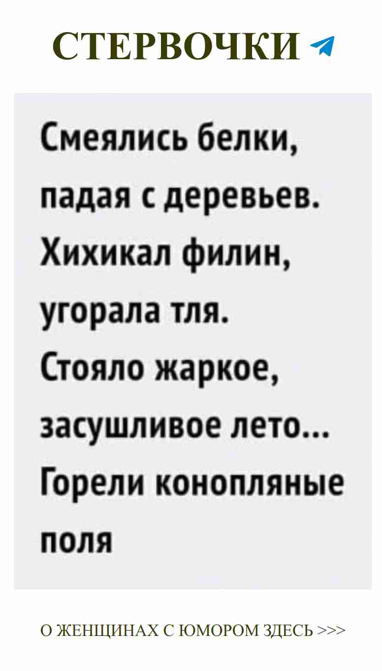 Любовь и юмор: смешные слова, которые поднимут настроение