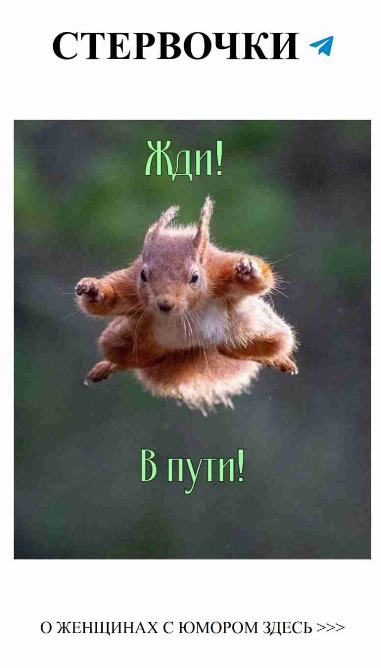 Любовь с юмором: смеемся вместе над нашими историями