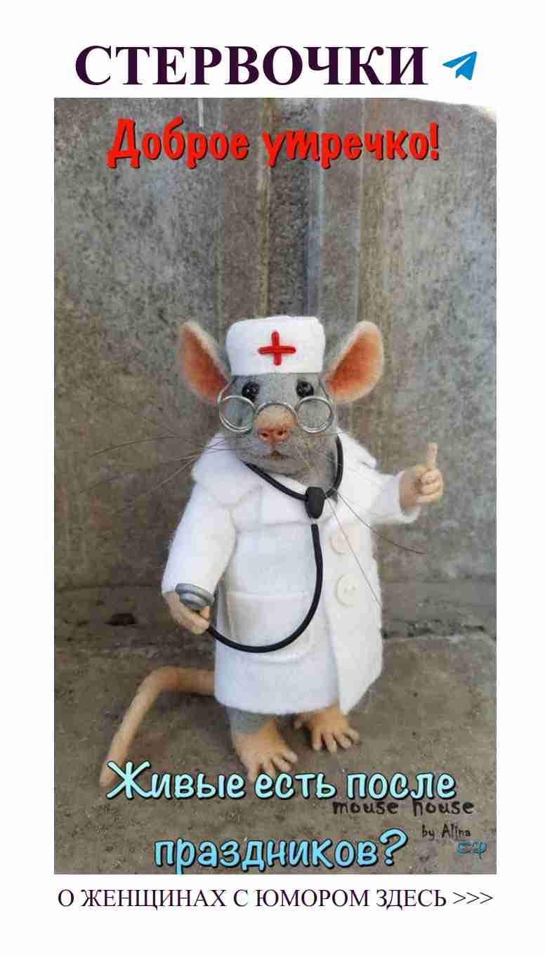 Мышка в костюме врача: с любовью и юмором
