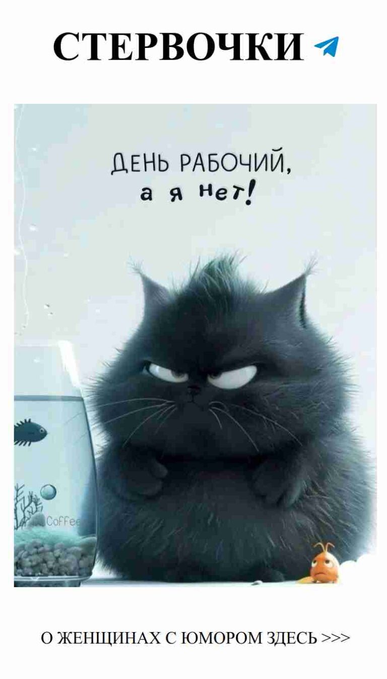 Когда черная кошка позирует рядом с рыбкой