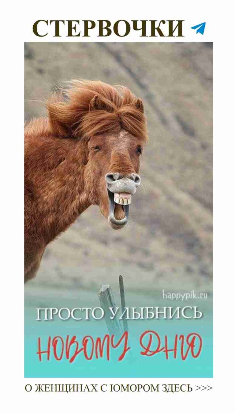 Вот как я провожу свои пятницы с любимым! Счастливой пятницы!