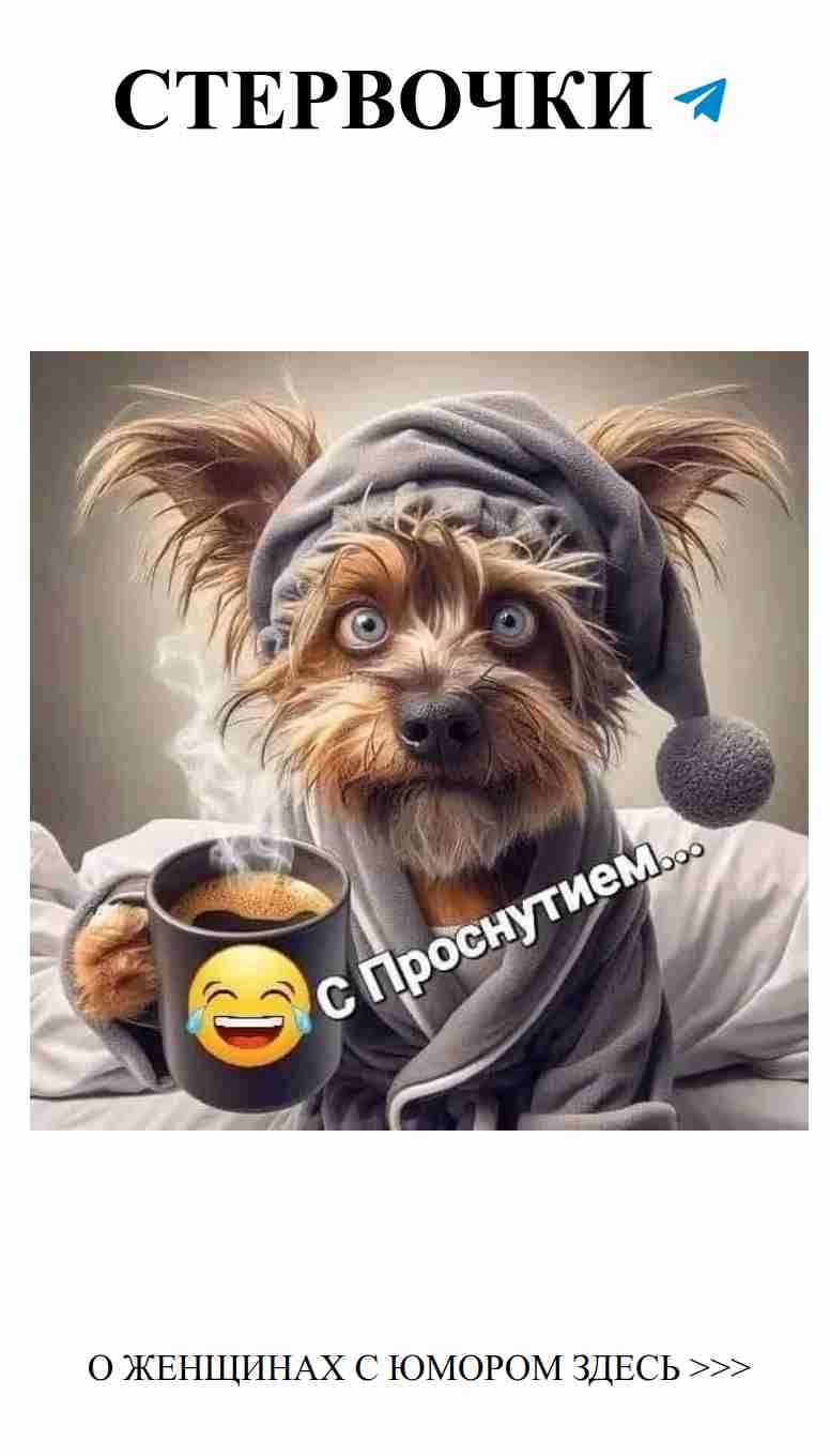 Утренний кофе с милым песиком – для хорошего настроения