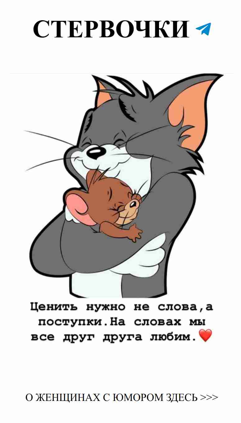 Любовь начинается с объятий, даже среди котов