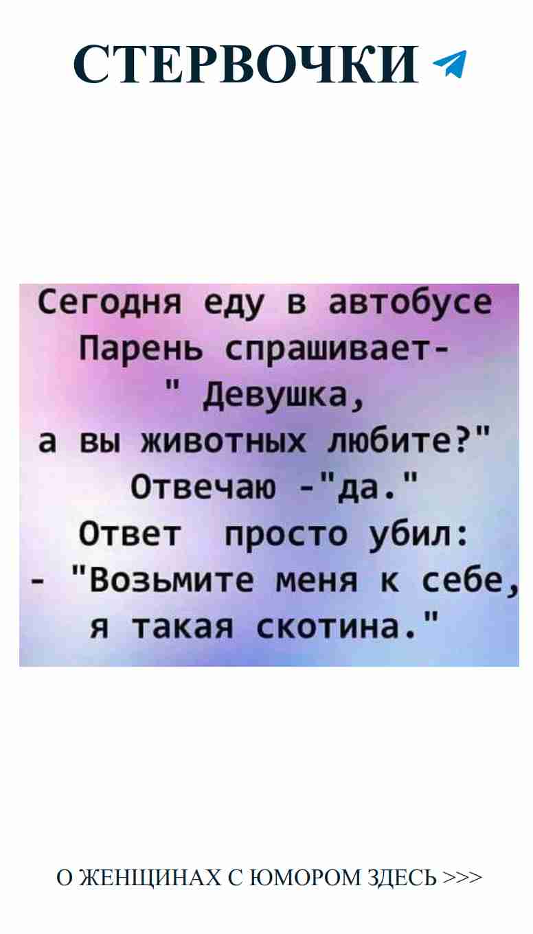 Любовь и сарказм: лучший рецепт хорошего настроения