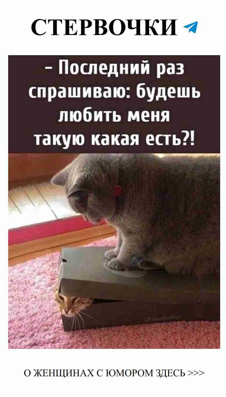 Как насчет кота, который всегда находит тебя в хорошем настроении