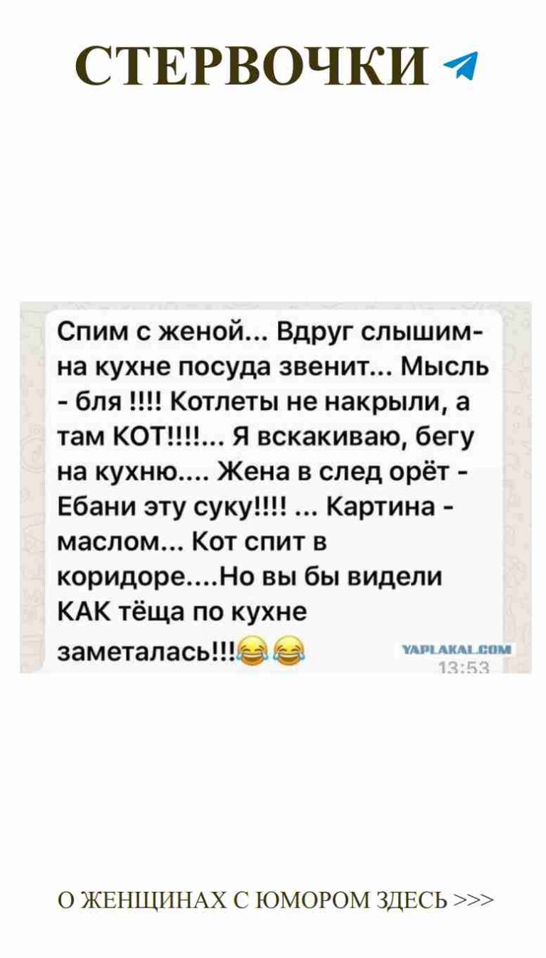 Смешные цитаты о любви и материнстве для девушек