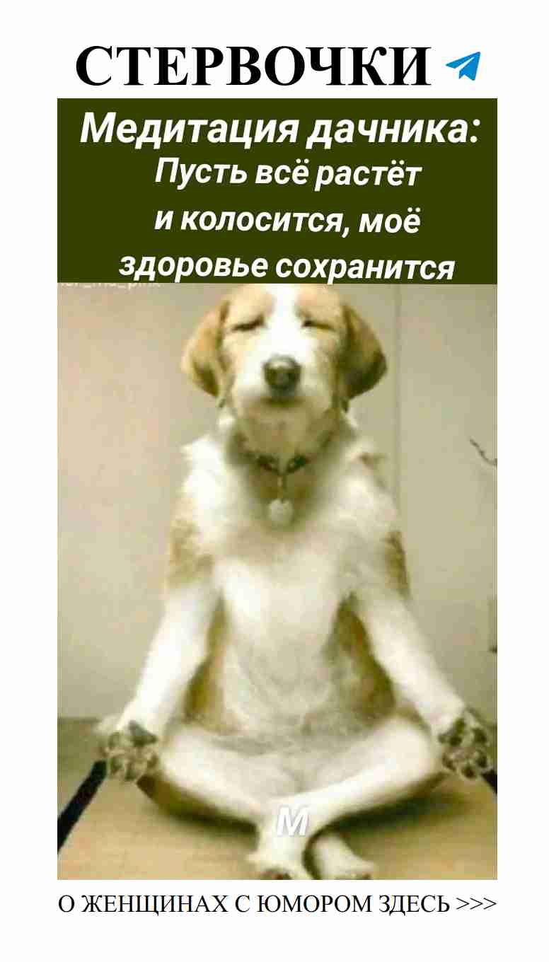 Юмор о любви: как избежать неловких моментов с партнером