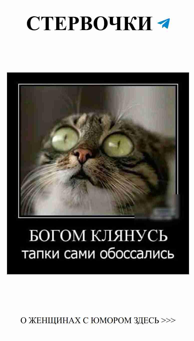 Смешные ситуации в любви, которые заставят улыбнуться