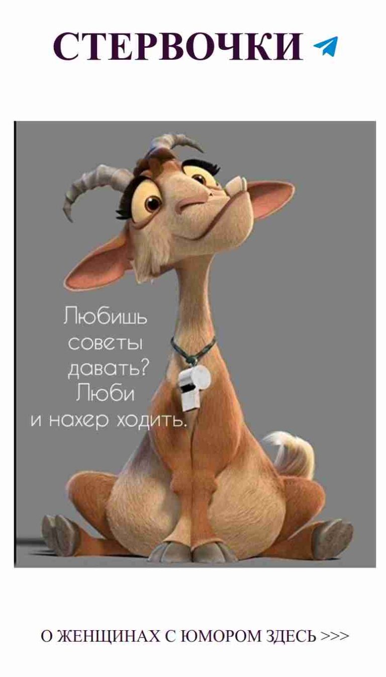 Любовь и дружба: весёлое вдохновение для твоих друзей