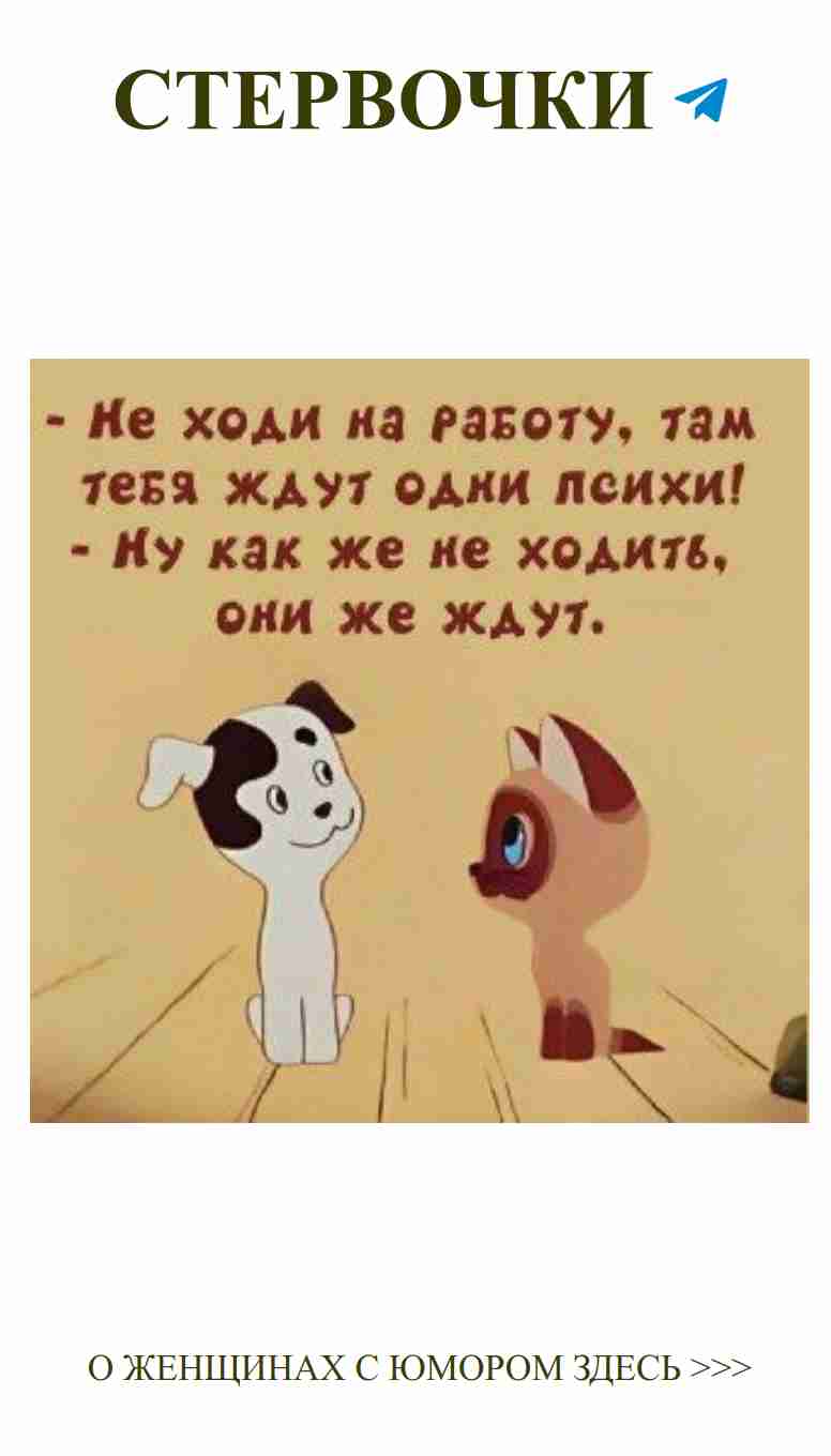 Два милых пса, утра полные юмора и любви